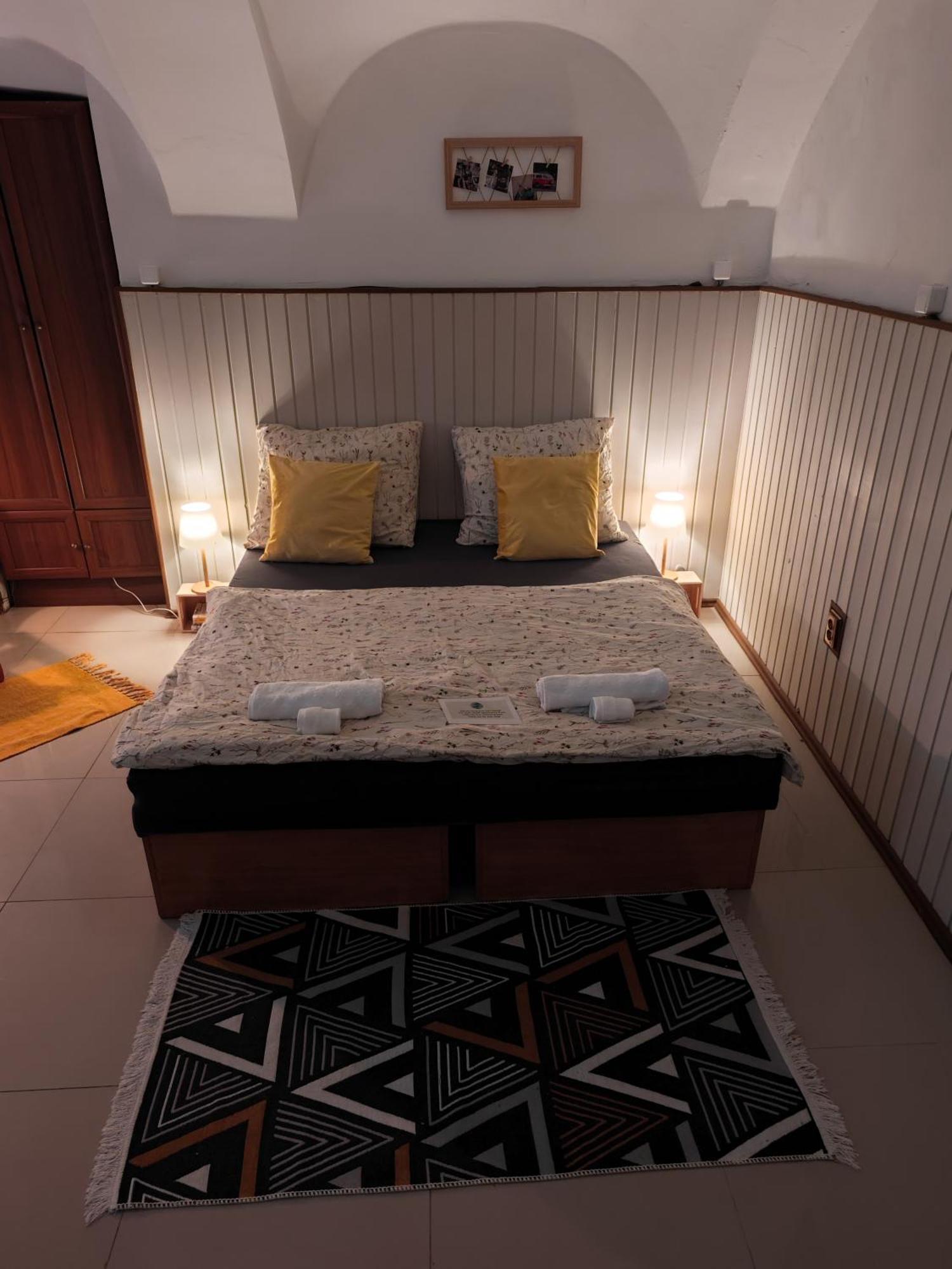 Apartament Vintage With Garden View