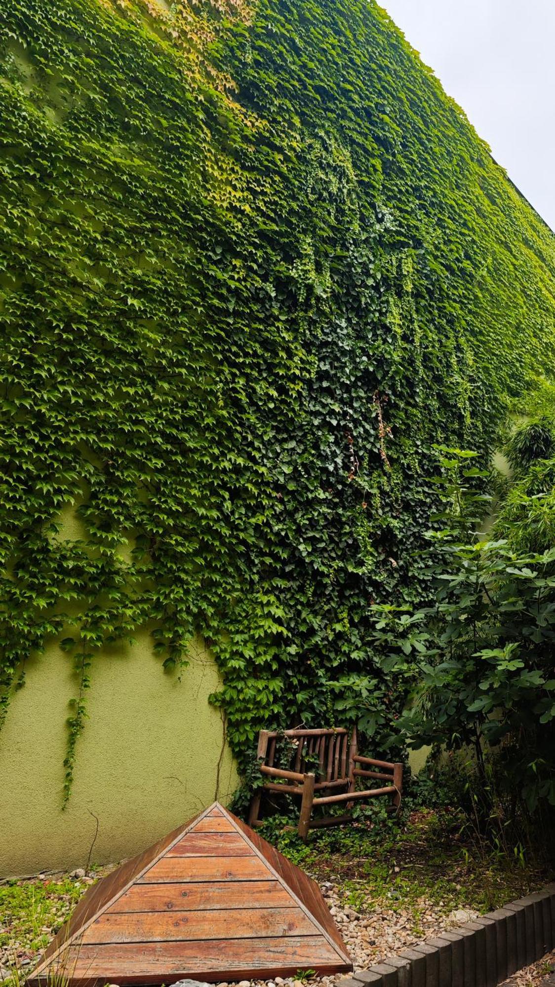 Apartament Vintage With Garden View